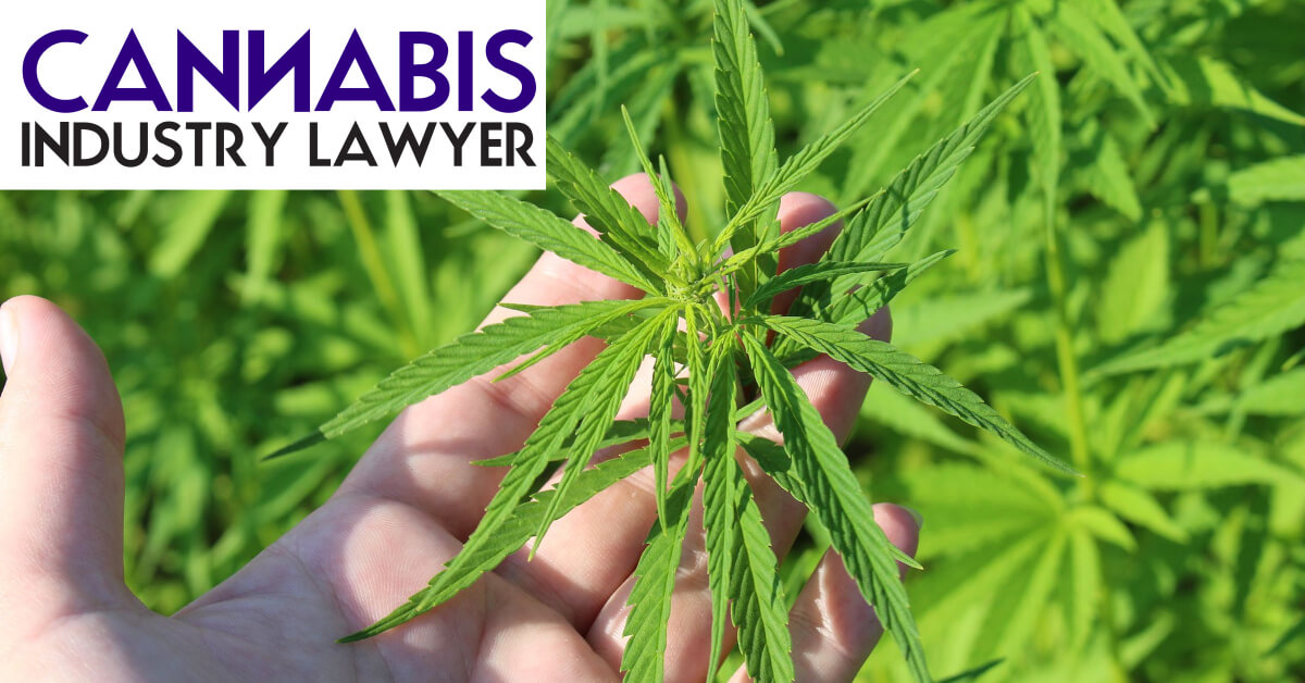 Protect your hemp farm lease with a written agreement