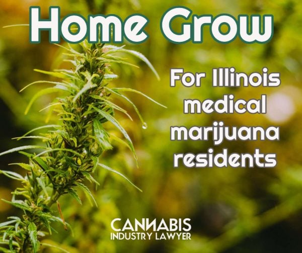 Illinois Home Grow Rules Cannabis, How to legally grow cannabis in Illinois