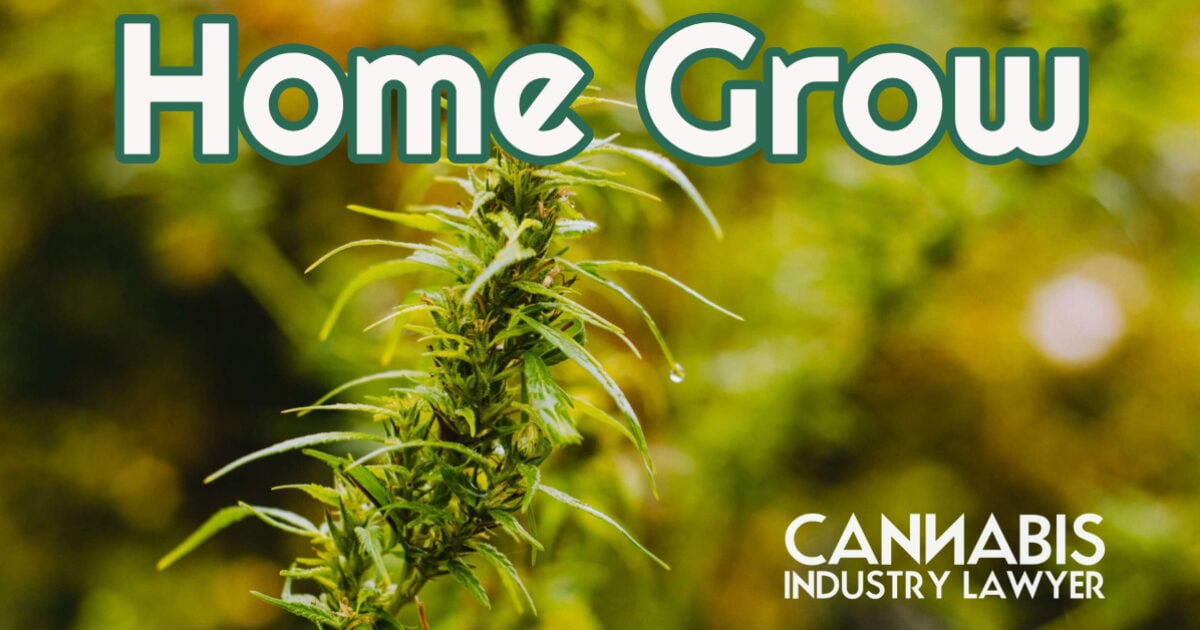 Illinois Home Grow Rules Cannabis, How to legally grow cannabis in Illinois
