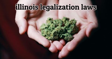 illinois legalization laws