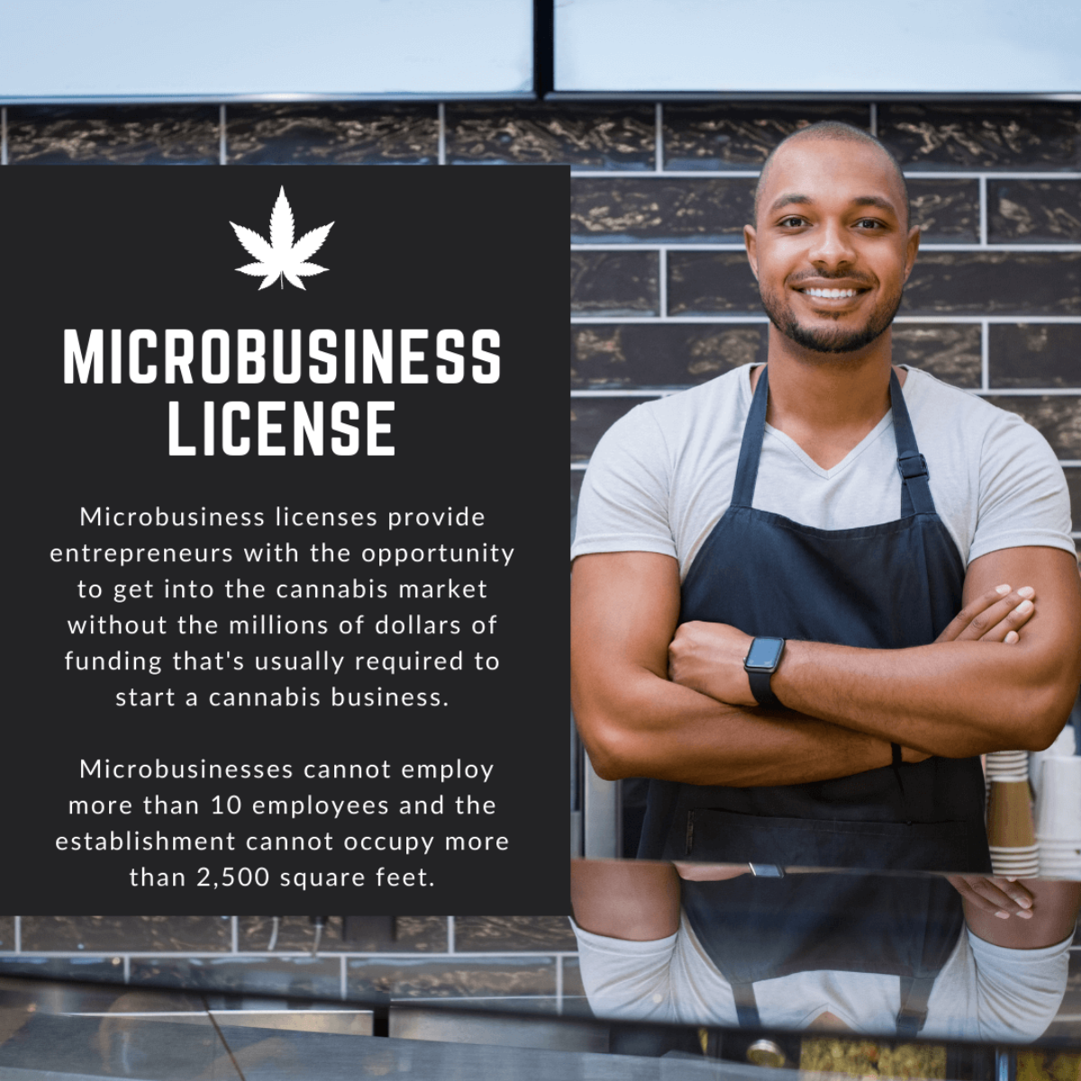 New Jersey Cannabis Microbusiness License For Small Entrepreneurs