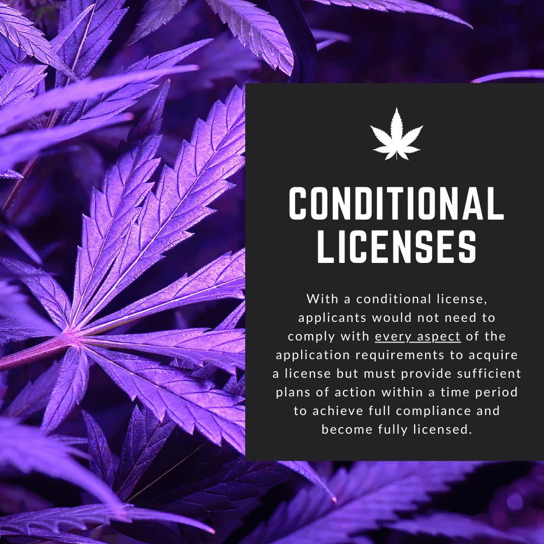 New Jersey Conditional Cannabis License - Win A Cannabis License