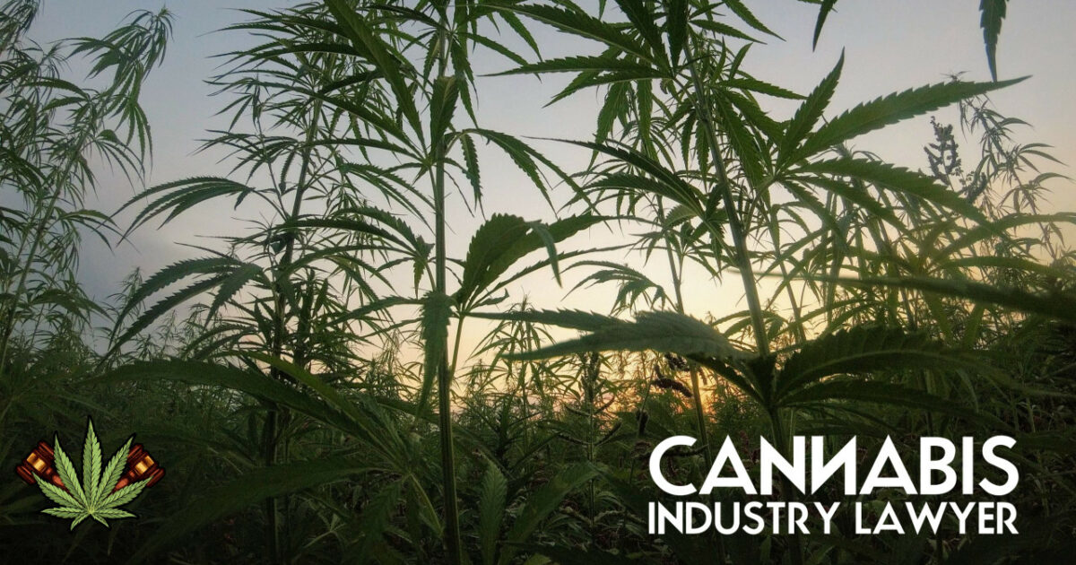 Questionnaire Contact Page - Cannabis Industry Lawyer | Marijuana ...