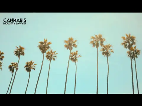 HOW TO GET A CANNABIS BUSINESS LICENSE IN CALIFORNIA