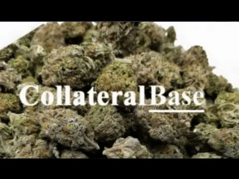 HOW TO GET A DISPENSARY LICENSE IN FRESNO CALIFORNIA