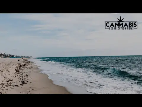 IS THE FLORIDA CANNABIS LICENSE MARKET ABOUT TO OPEN UP