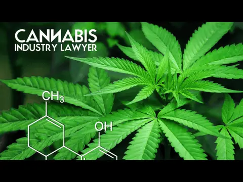 KENTUCKY MEDICAL MARIJUANA LAWS