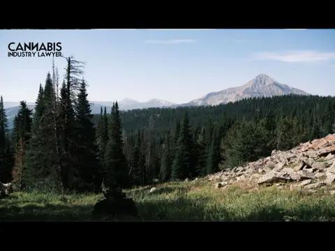 MONTANA ADULT-USE MARIJUANA LICENSING