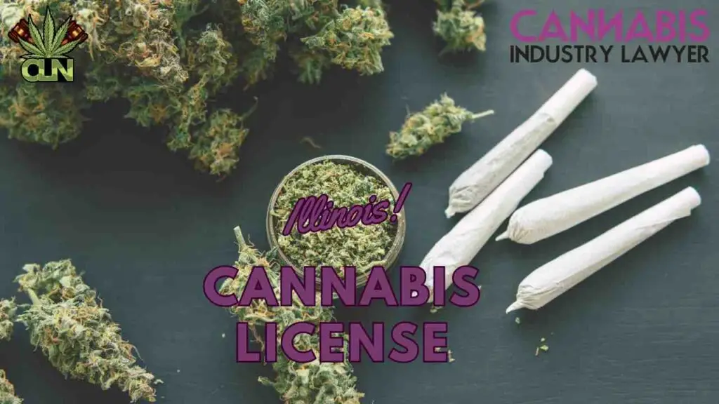 illinois cannabis license
