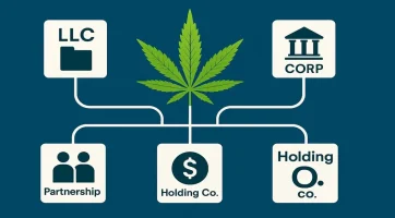 Cannabis_Business_Entity_Types_16x9 Cannabis_Business_Entity_Types_16x9